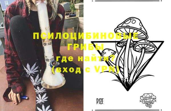 МДМА Горняк