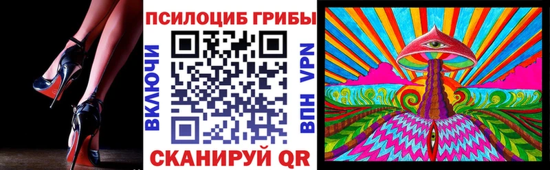 Галлюциногенные грибы Psilocybine cubensis  Купить  Сельцо 